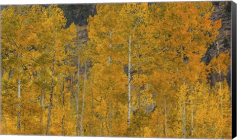 Framed Flames Of Autumn Print