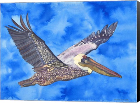 Framed Flying Pelican Print