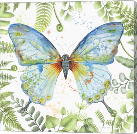 Framed Botanical Butterfly Beauty 1 Print
