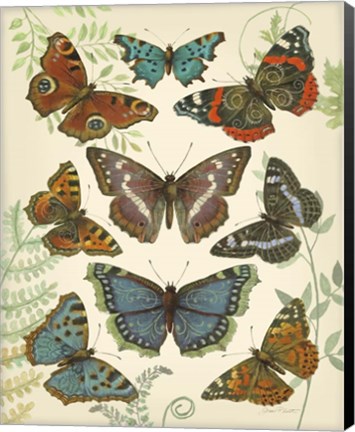 Framed Butterfly Plate 4 Print