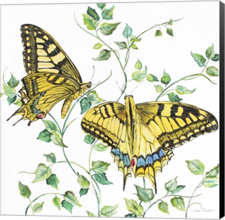Framed Summertime Butterflies A Print