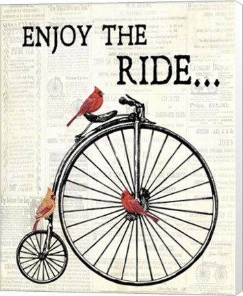 Framed Bicycle With Cardinals A Print