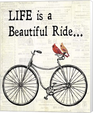 Framed Bicycle With Cardinals B Print