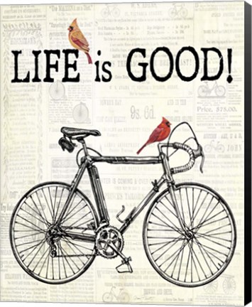 Framed Bicycle With Cardinals C Print
