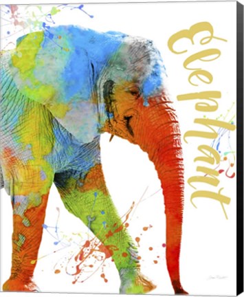 Framed Colorful Safari Animals C Print