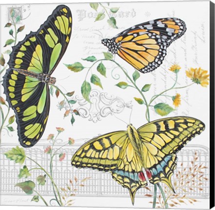 Framed Butterfly Garden Print