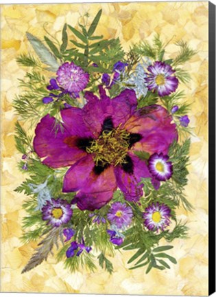 Framed Dried Peony And Daisies Print