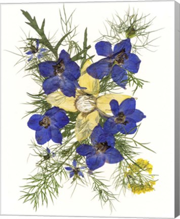 Framed Flower Fantasy 1 Print