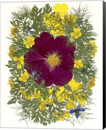 Framed Flower Fantasy 2 Print