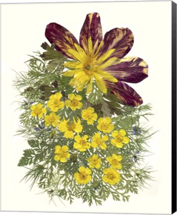 Framed Flower Fantasy 3 Print