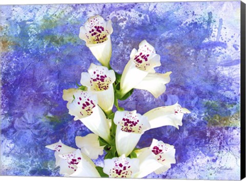 Framed Foxgloves Print