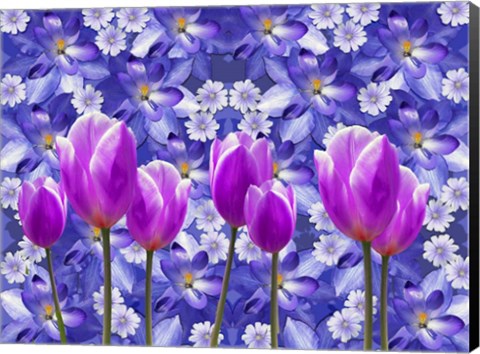 Framed Purple Tulips Print