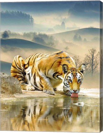 Framed Tiger Drinking Water Print