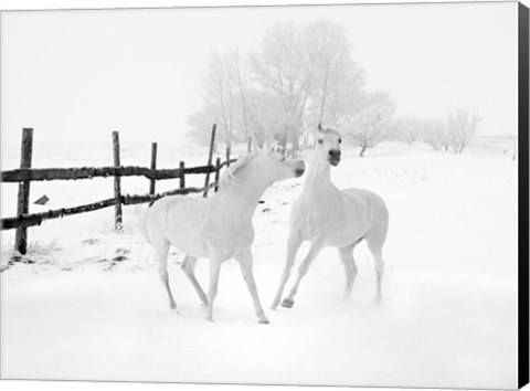 Framed Winter Horses Print
