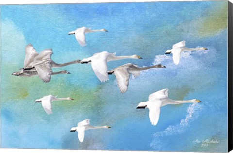 Framed Fly Far Away 2 Print