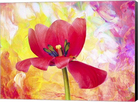 Framed Poppy Beauty Print