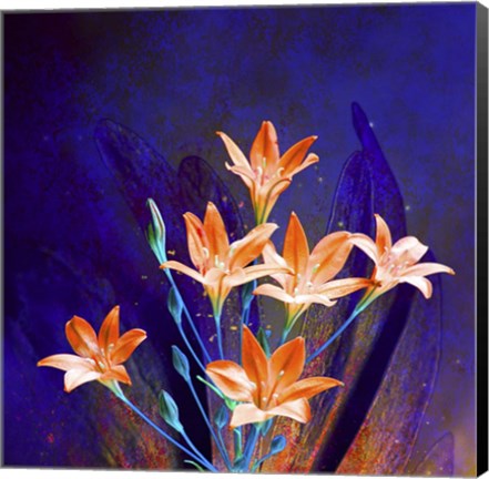 Framed Purple And Orange Print