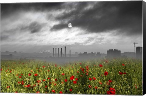 Framed Destruction Print