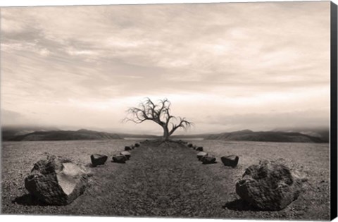 Framed Dry Land 2 Print