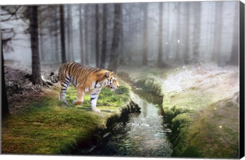 Framed Forest King 2 Print