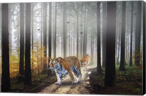 Framed Forest King Print