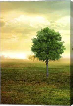 Framed Lone Green Tree Print