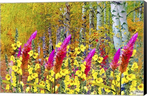 Framed My Garden 4 Print