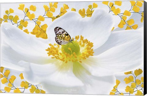 Framed Nature S1 Print