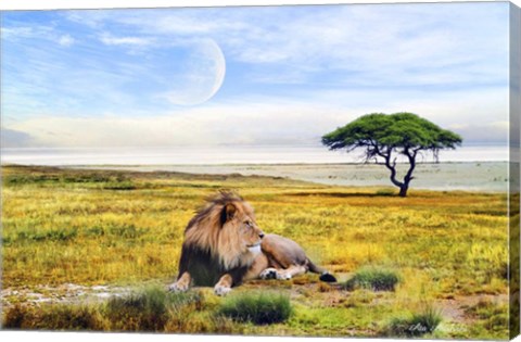 Framed Nature S3 Print