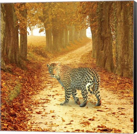 Framed Nature S10 Print