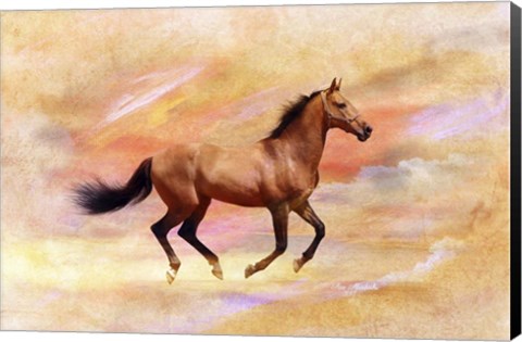 Framed Nature S20A Print