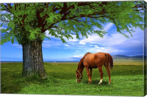 Framed Nature S21 Print