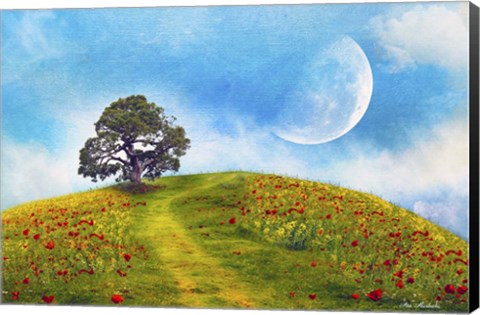 Framed Nature S33 Print