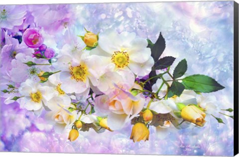 Framed Nature S114 Print