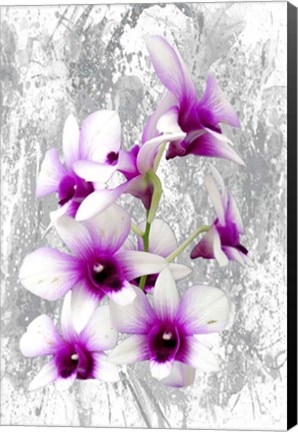 Framed Purple Is My Color Print