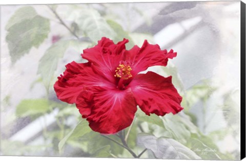 Framed Red Is Beautiful Print