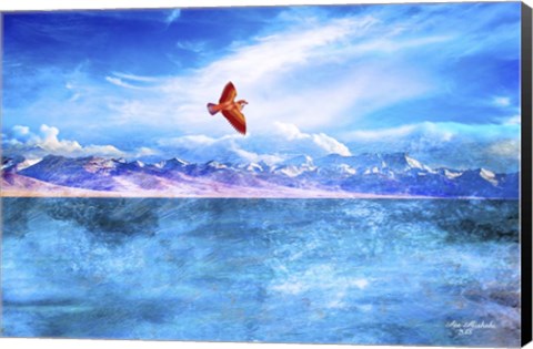 Framed Colors And Nature As1 Print