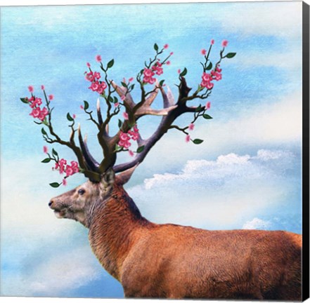 Framed Flower Head Print