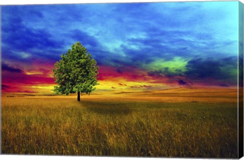 Framed Lone Tree 2D Print