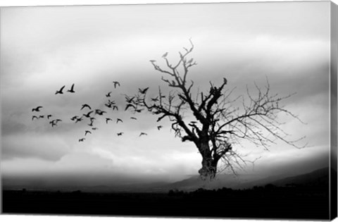 Framed Lone Tree And Birds Print