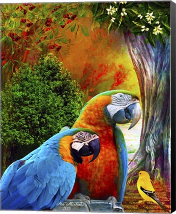Framed Parrot Love 3 Print