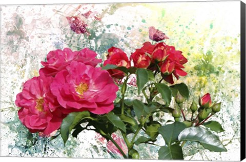 Framed Roses Are Beautiful Print