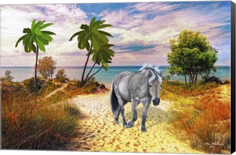 Framed Wild Horse Of The Sea Print