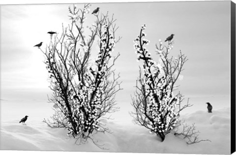 Framed Winter Is Beautiful Print