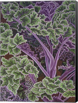 Framed Cabbage Stalks Print
