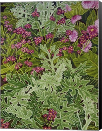 Framed Dusty Miller with Pinks Print