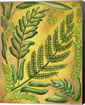 Framed Fern 1 Print