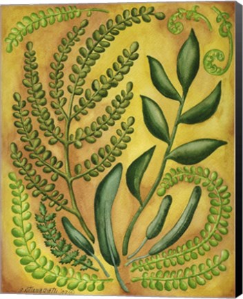 Framed Fern 2 Print