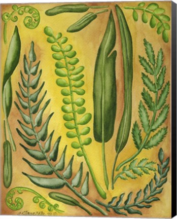 Framed Fern 3 Print