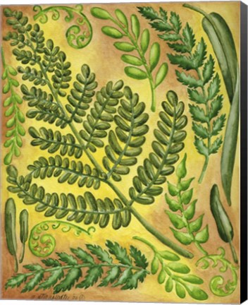 Framed Fern 4 Print